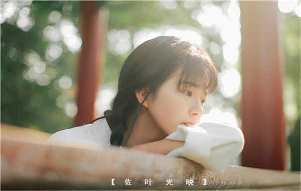 马龙胎儿性别鉴定需要多少钱(胎儿性别鉴定的方法)